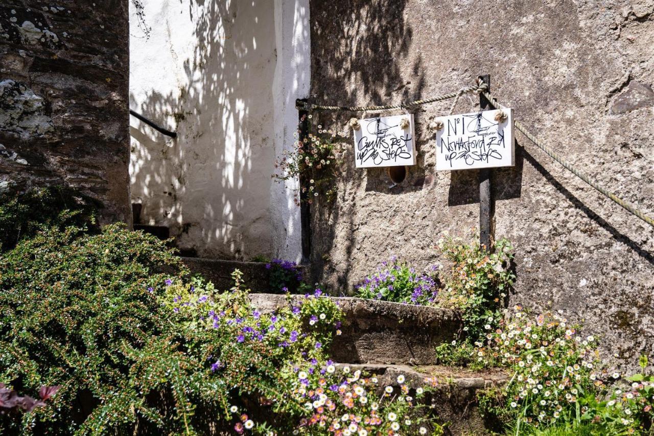 Gulls Rest - Charming Cottage In The Heart Of Historic Dartmouth Bagian luar foto